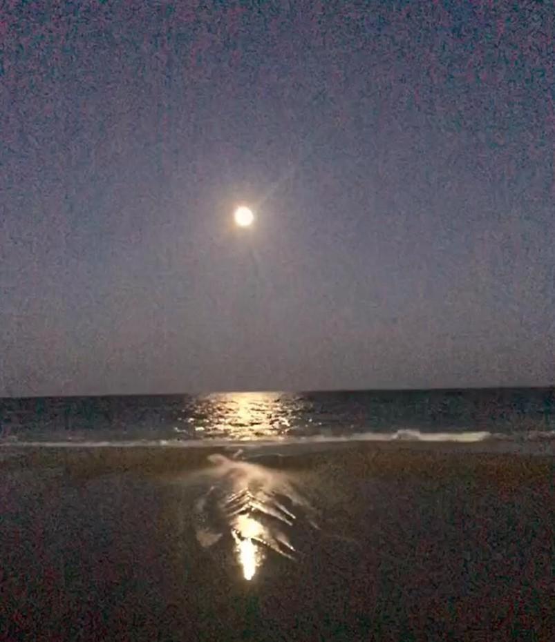 2501 S Ocean Blvd, 0811 - Ocean Front Sleeps 6